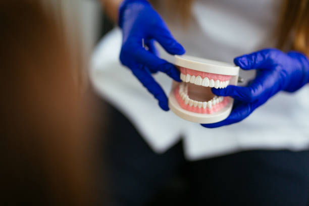 Best Dental Fillings (Composite and Amalgam)  in Holly Ridge, NC